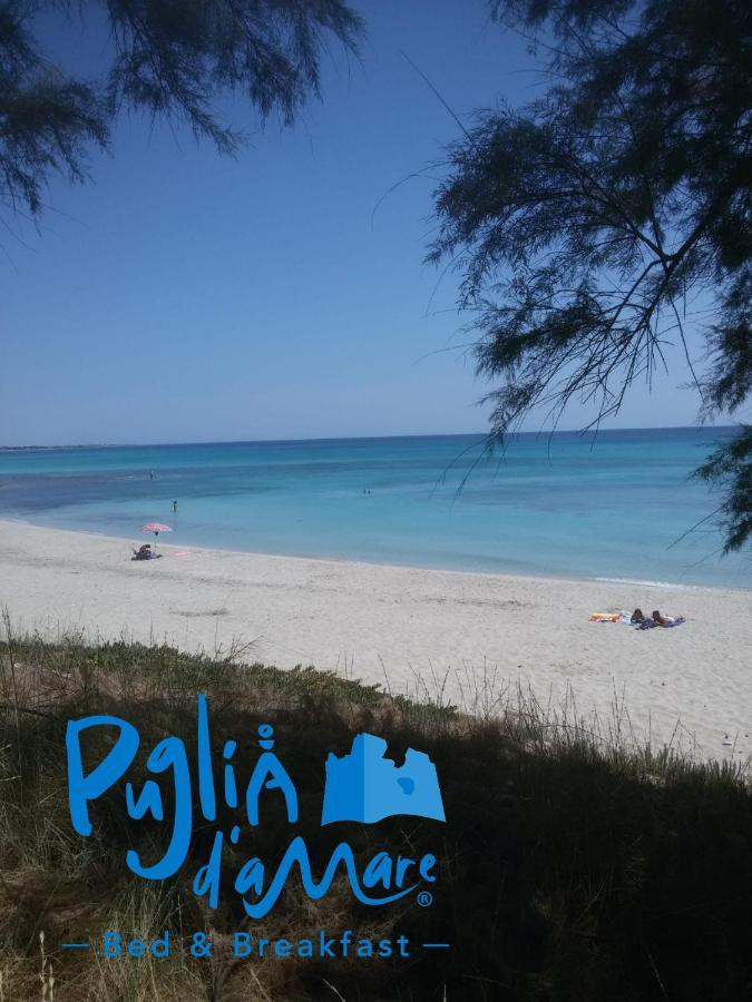 B&B Puglia D'Amare Lizzano  Ngoại thất bức ảnh